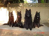 Crystal Family 08 04 06.JPG (59891 bytes)