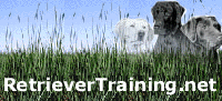retrievertraining.net Forums Forum Index