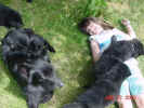 Alyssa Keeper & Pups 06 23 01 A.JPG (71314 bytes)