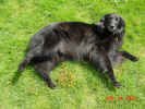 Backyard lying down 04 24 01.jpg (240910 bytes)
