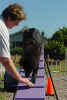 Crystal Dog walk A 10 02 01.JPG (77700 bytes)