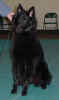 Crystal sitting 01 25 02.JPG (81546 bytes)