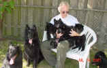 Derek Puppy Juggling A 07 14 01.JPG (128503 bytes)