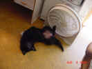 In front of fan B 08 06 01.JPG (131695 bytes)