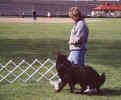 Tyler Heeling.jpg (49211 bytes)