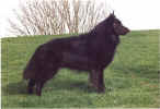 Typer Posing at Park.jpg (45133 bytes)